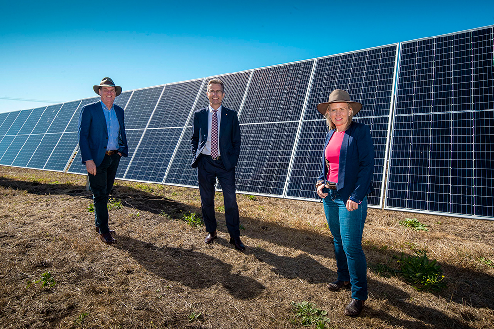 Warwick solar farm